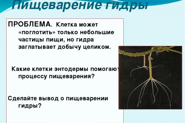 Кракен ссылки krakenwebs org